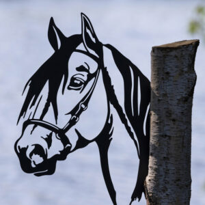Pferdekopf "Erhabenheit Ecke" um die Ecke guckend