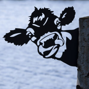 Kuh um die Ecke guckend