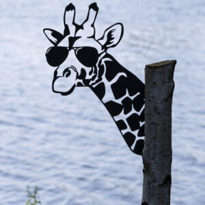 Giraffe um die Ecke guckend