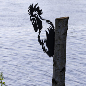 Huhn um die Ecke guckend