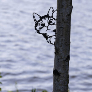 Katze um die ecke guckend